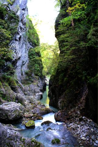 Gorges de la Jogne