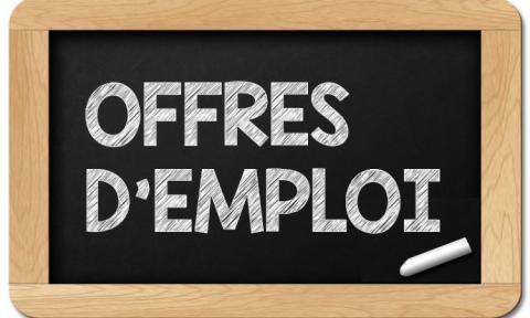 Offres d'emploi