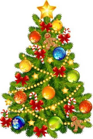 Vente de sapins
